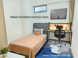 Emerald Park (D3), Condominium #473437501